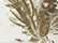 swatch-kati-lcb08-white-realtree-ap