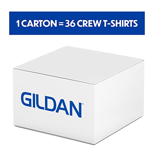 Softstyle CVC  T-Shirt
