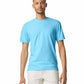 Unisex Softstyle® T-Shirt