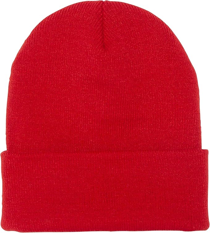 Cuffed  Beanie