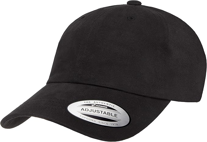 Ecowash Dad Hat