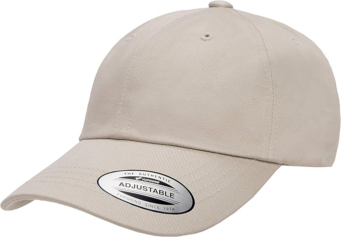 Ecowash Dad Hat