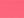 Bright Pink