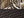 Realtree Edge/ Brown