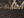 Realtree Max7/ Brown