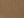 Coyote Brown