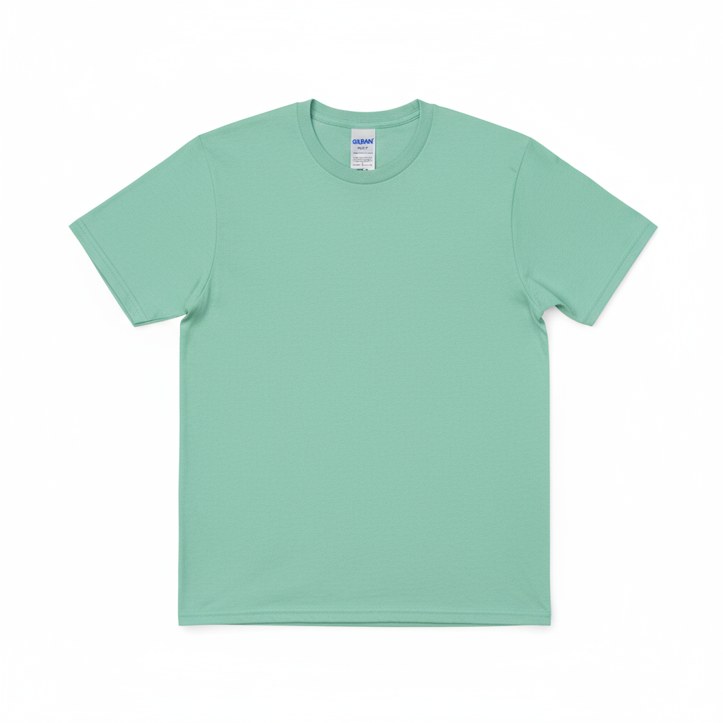 Gildan G5000 Heavy Cotton T-Shirt in Mint Green