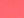 Coral Silk