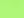Neon Green