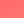 Coral Silk