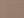 Brown Savana
