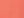 Sunset Coral