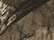 Mossy Oak Country
