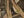 Realtree Max4