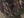 Realtree All Purpose