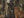 Mossy Oak BreakUp