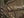 Realtree All Purpose