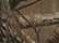 Realtree All Purpose