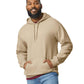 Softstyle MidNight Hooded Sweatshirt