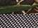 swatch-yp_classics-6606-realtree-max7-brown